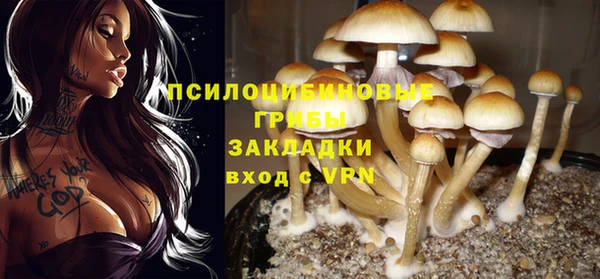 мяу мяу мука Богданович