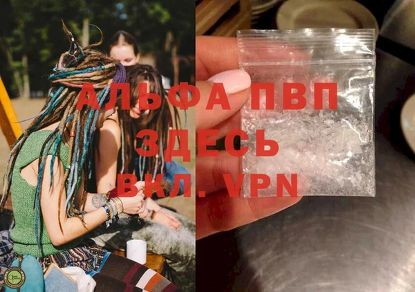 мяу мяу мука Богданович