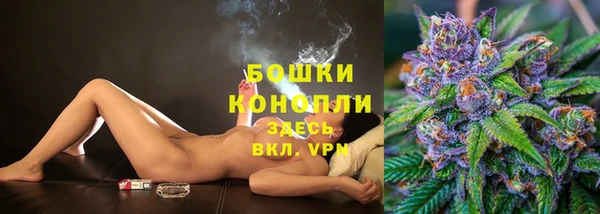 spice Бронницы