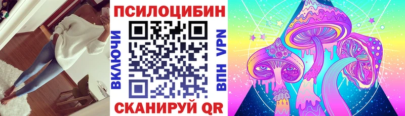наркошоп Когалым Галлюциногенные грибы Psilocybe